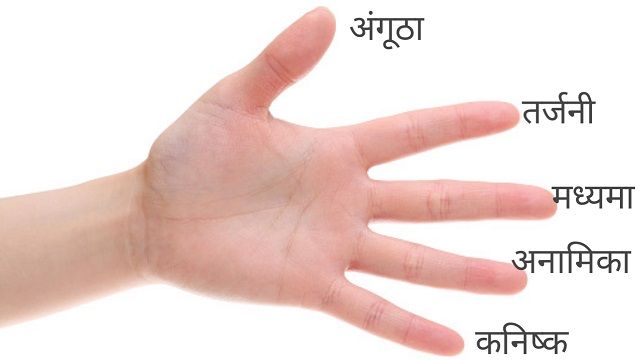 Fingers name in Hindi