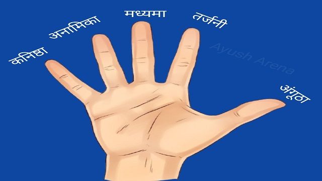 fingers name hindi me
