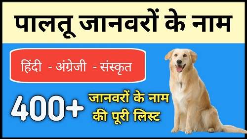 Name-of-domestic-animals-in-hindi