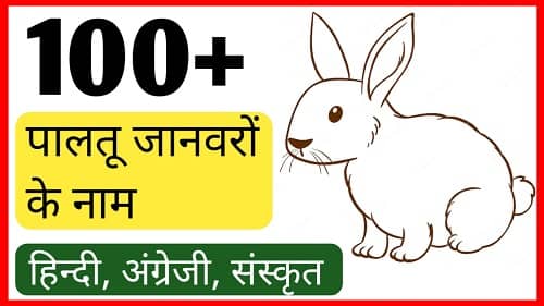 Domestic-Animals-Name-Hindi-English-Sanskrit